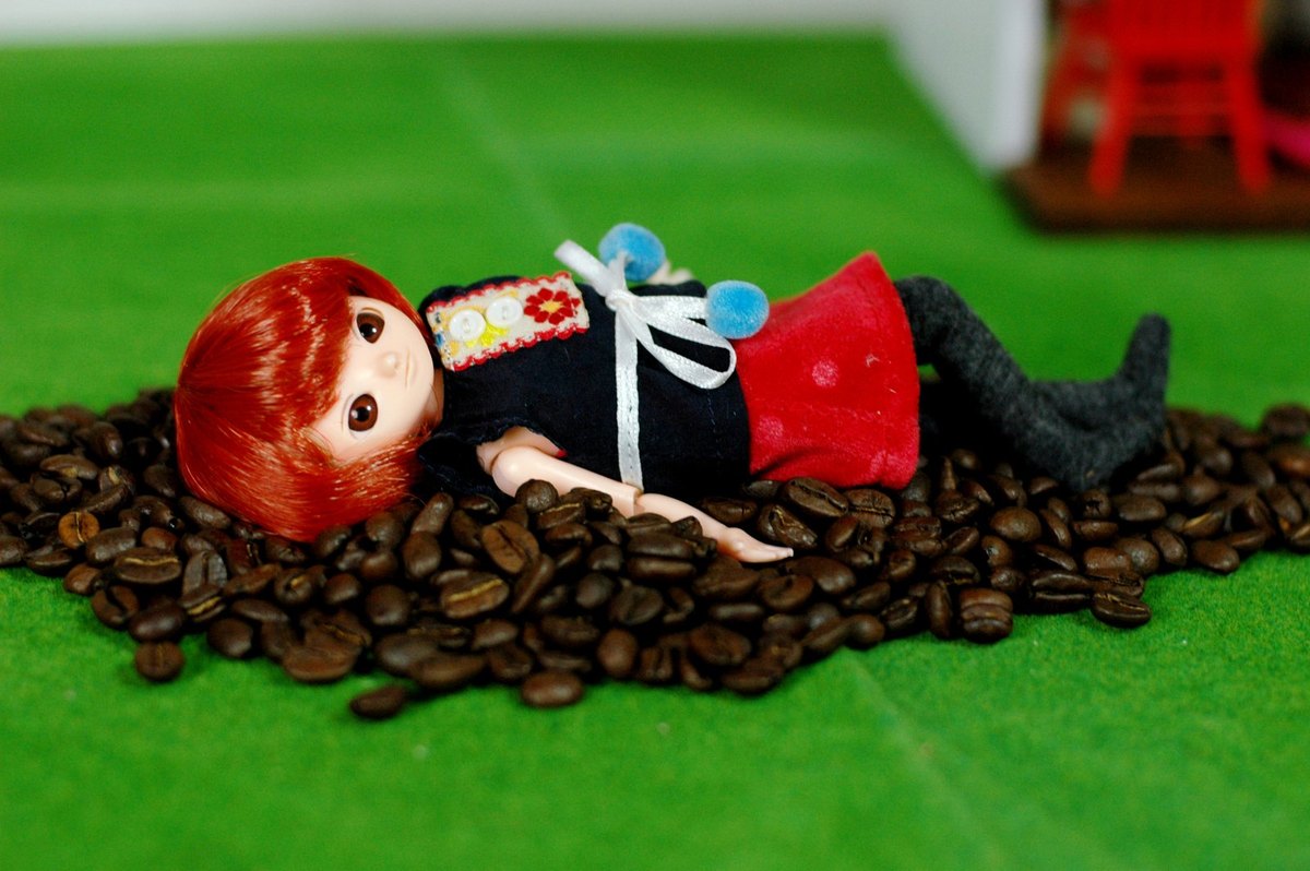 Cafe Lino lying on coffee beans